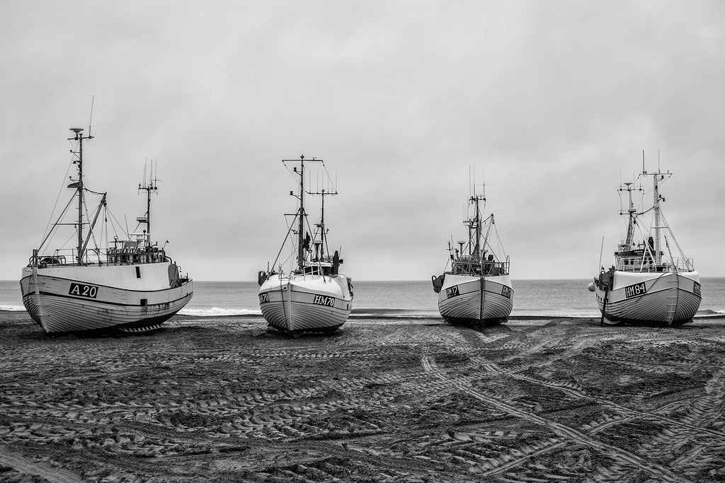 The Bay Denmark Fishing Ships