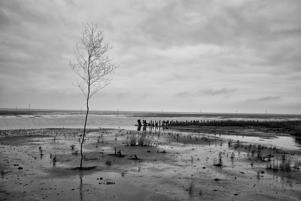 Wadden Sea by Alex Berger