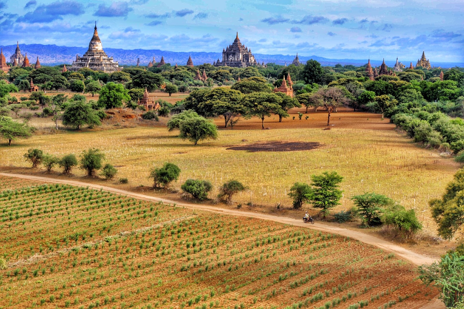 Picture Perfect Bagan by Alex Berger