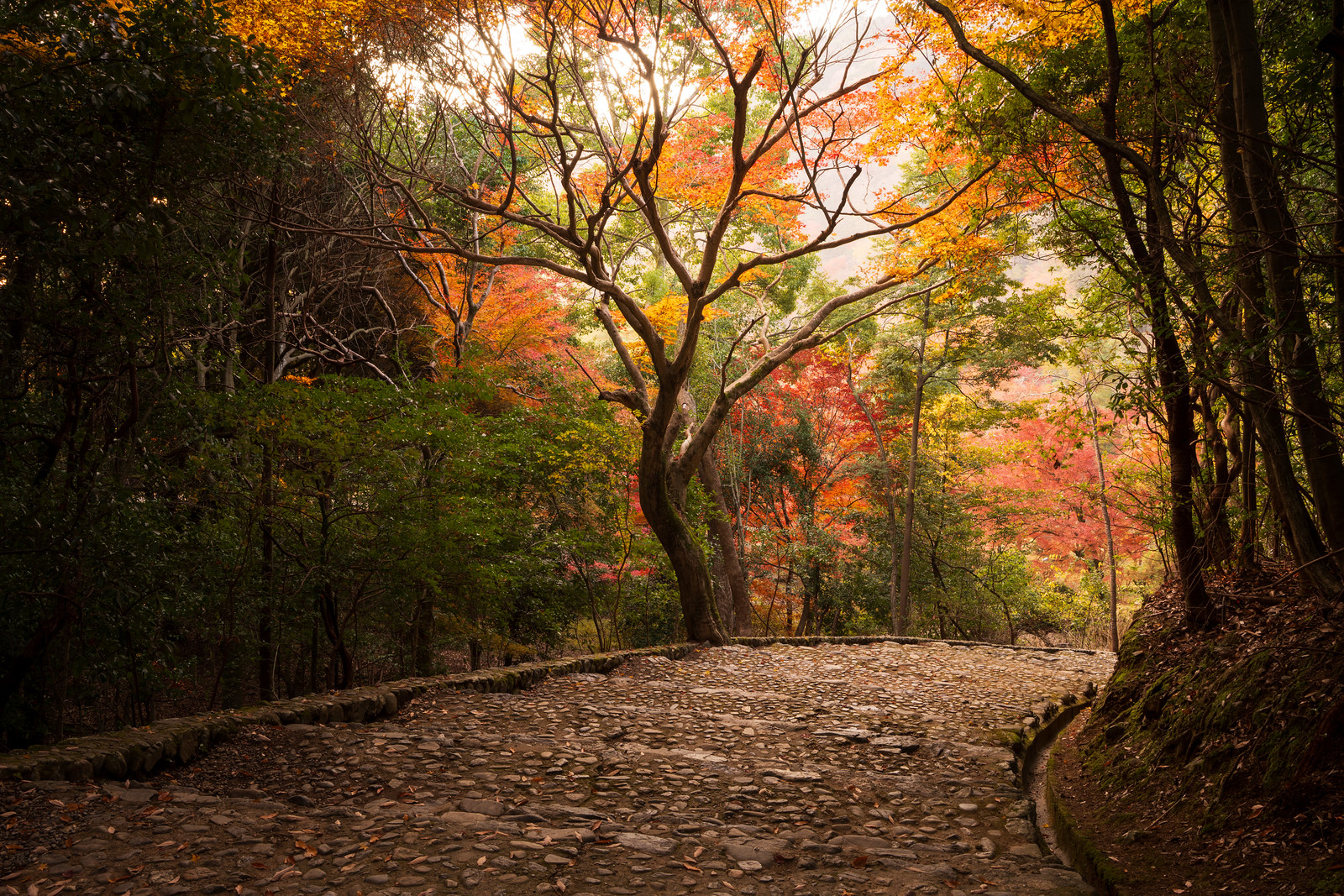 2024 – A Year of Travel In 100 Color Photographs