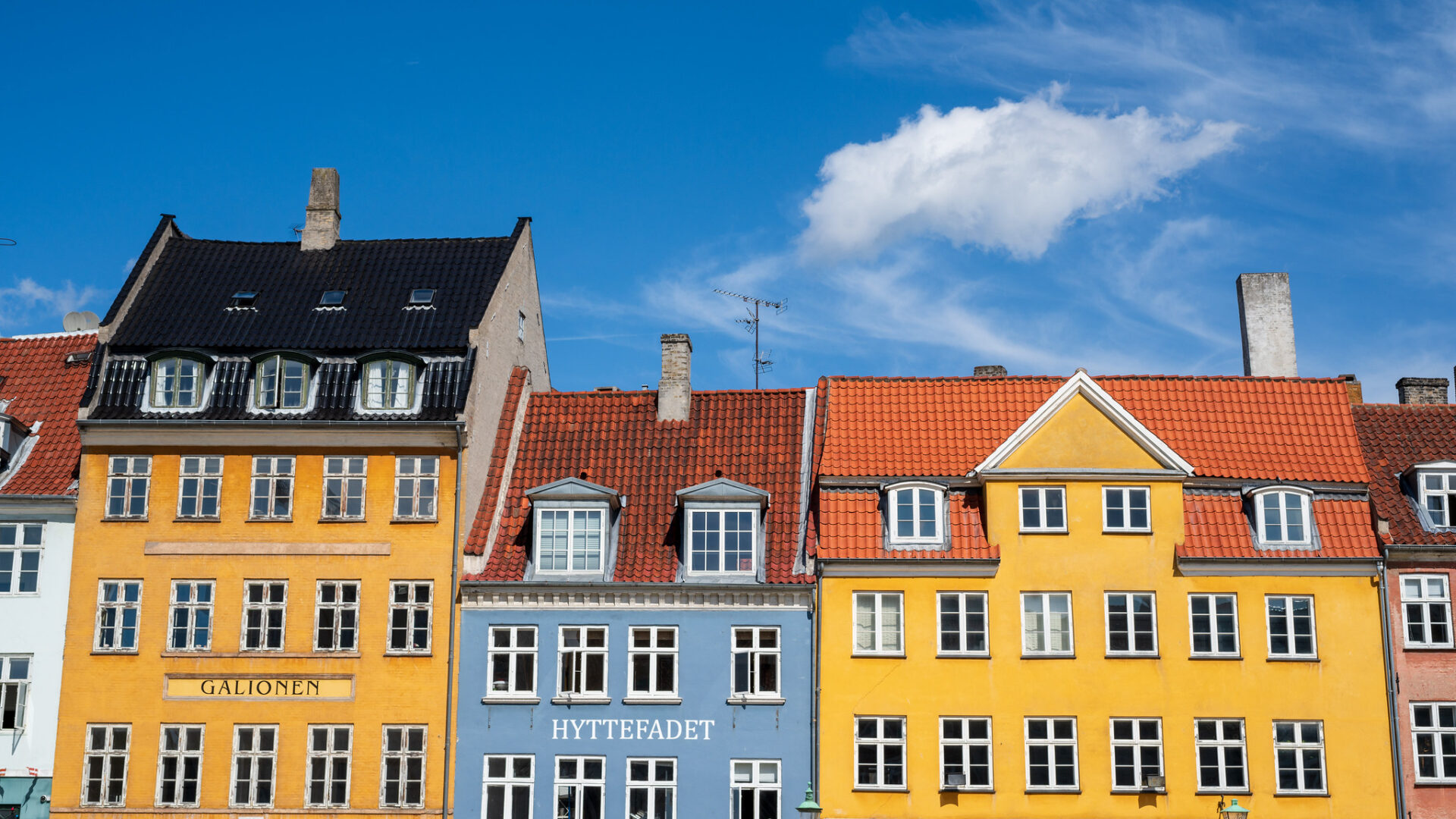 Celebrating and Reflecting on 15 Years in Denmark